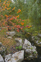 Similar image 22282926