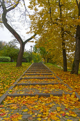 Similar image 22282928