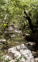 Similar image 22287396