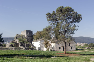 Similar image 22287397