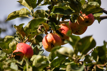 Similar image 22289420