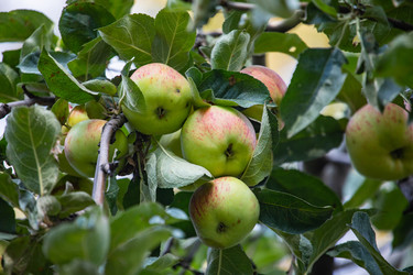 Similar image 22289421