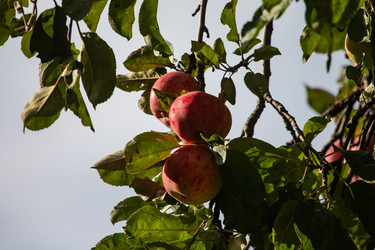 Similar image 22289423