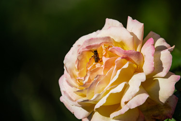 Similar image 22289428