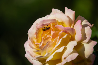 Similar image 22289429