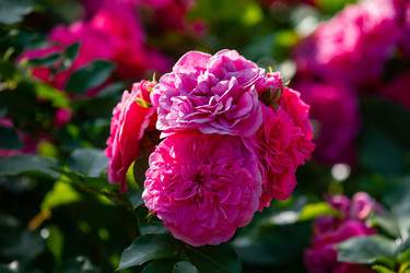 Similar image 22289431