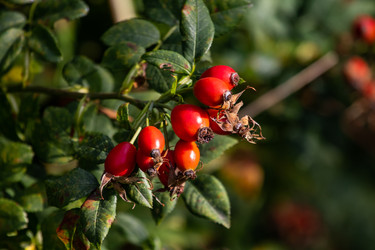 Similar image 22289432