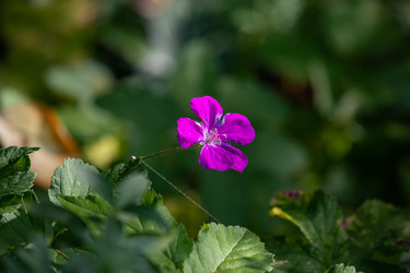 Similar image 22289434