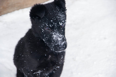 Similar image 22284319