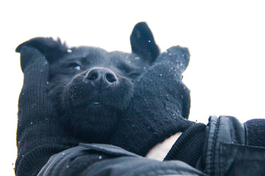 Similar image 22284320