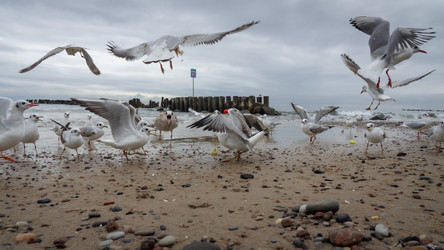 Similar image 22287644