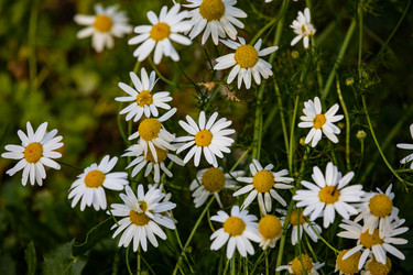 Similar image 22289435