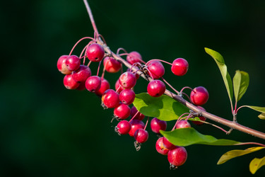 Similar image 22289437