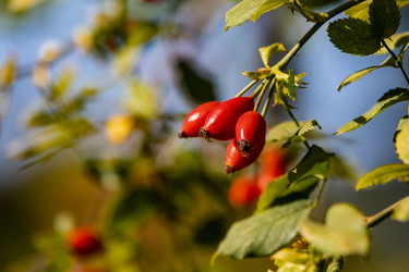 Similar image 22289438