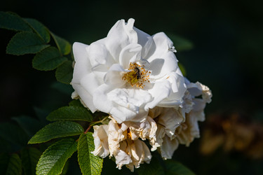 Similar image 22289439