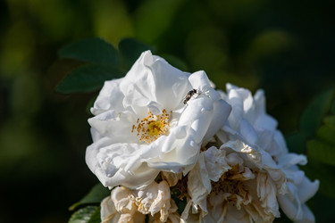 Similar image 22289440