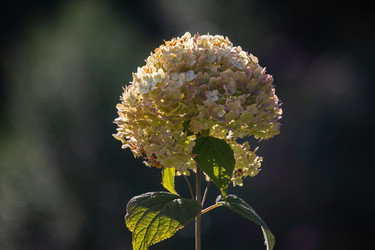 Similar image 22289442