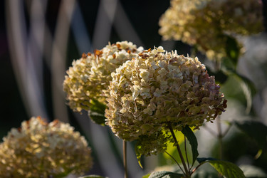 Similar image 22289443