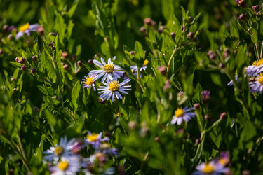 Similar image 22289444