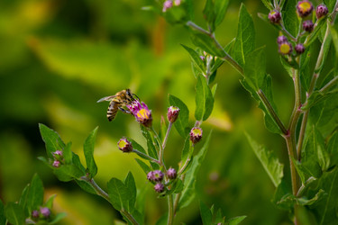 Similar image 22289446