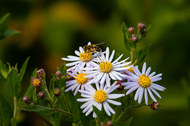 Similar image 22289447