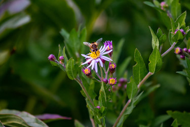 Similar image 22289448