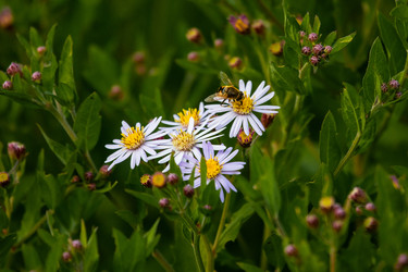 Similar image 22289449