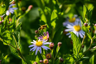 Similar image 22289450