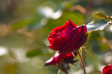 Similar image 22289451