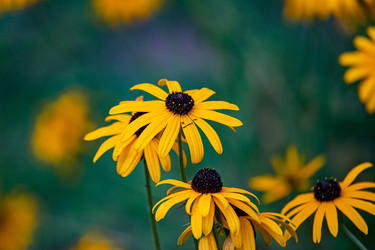 Similar image 22289452