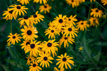 Similar image 22289453