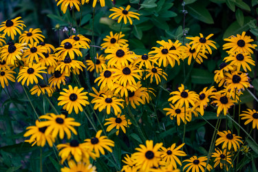 Similar image 22289454