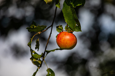 Similar image 22289455