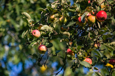 Similar image 22289456