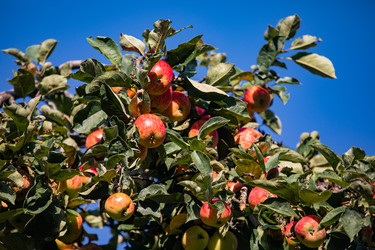 Similar image 22289457