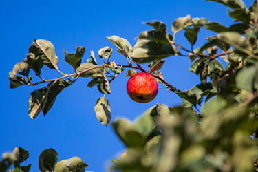 Similar image 22289458