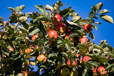 Similar image 22289459