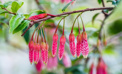 Similar image 22287606