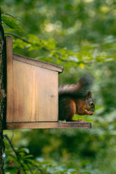 Similar image 22285594