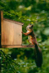 Similar image 22285595