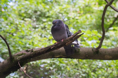 Similar image 22285597