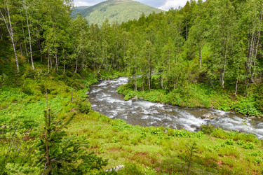 Similar image 22283417