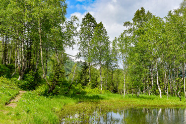 Similar image 22283418