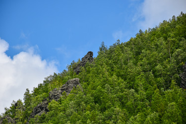 Similar image 22283421