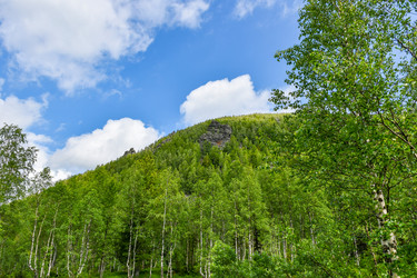 Similar image 22283423