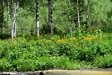 Similar image 22283425