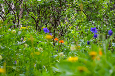 Similar image 22283426