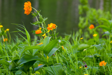 Similar image 22283428