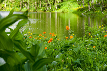 Similar image 22283430