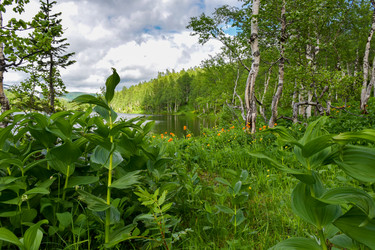 Similar image 22283431